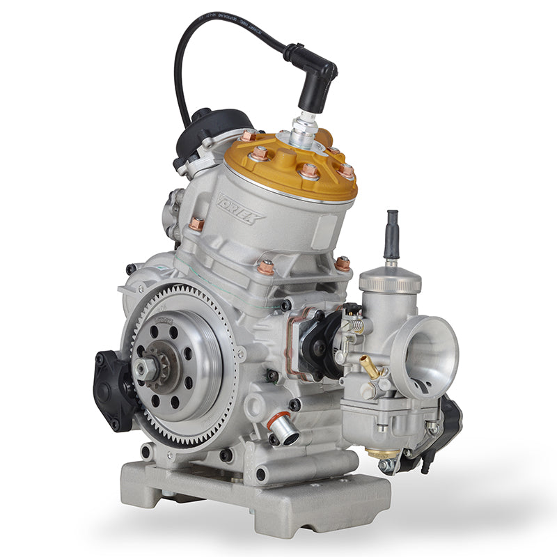Motore Vortex ROK GP