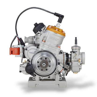 Motore Vortex ROK GP JUNIOR