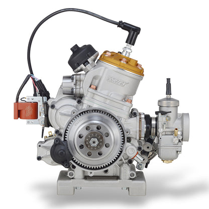Motore Vortex ROK GP