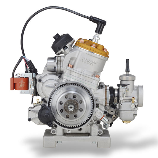 Motore Vortex ROK GP