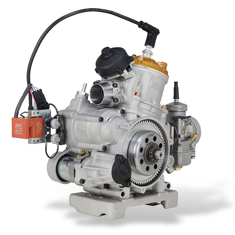 Motore Vortex ROK GP