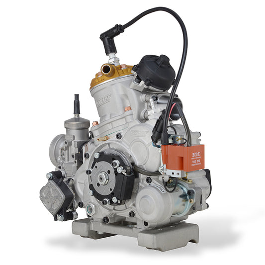 Motore Vortex ROK GP