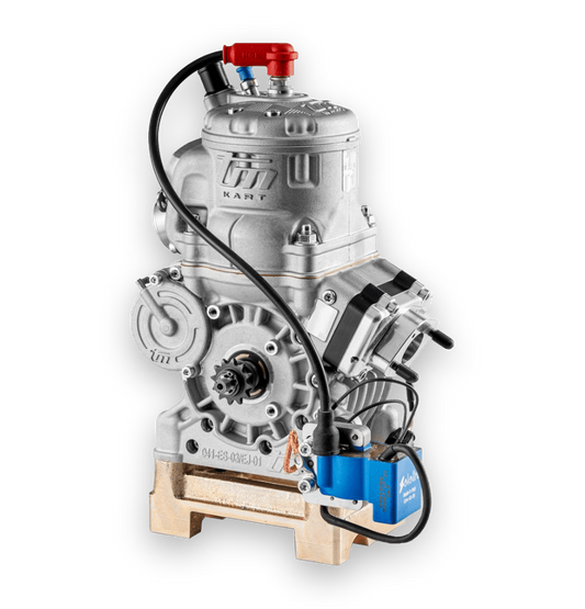 MOTORE TM OK S3 - JUNIOR 125cc