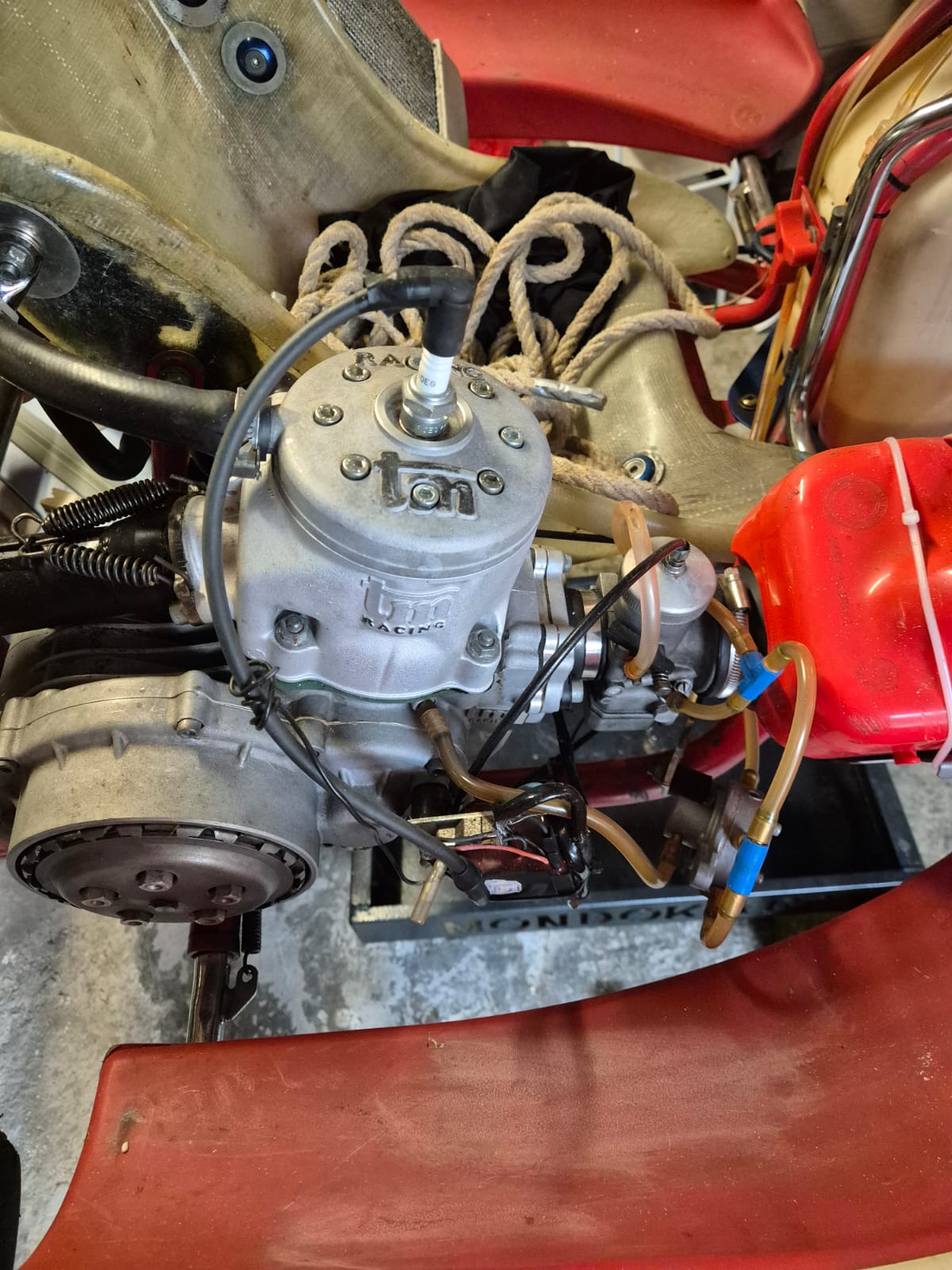 Telaio Birel con Motore Tm K8