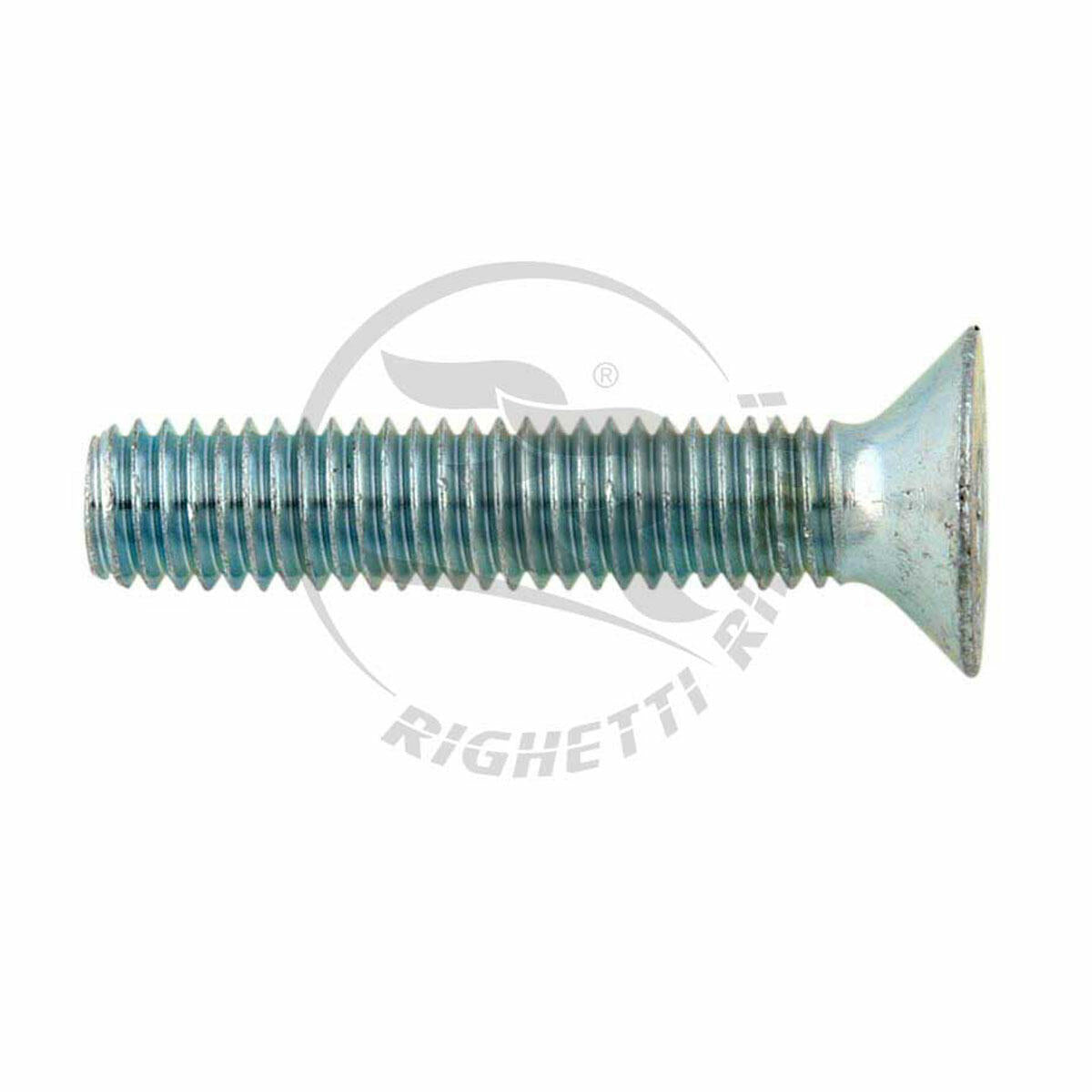 Vite M8x80mm Zincata
